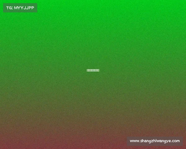 田径赛事岗位介绍